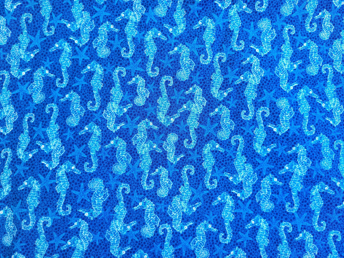 Reversible Tote Bag (Ocean)